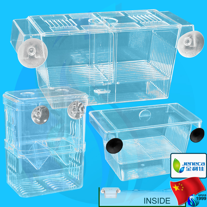 Jeneca Breeder Box Fish Box กล่องแยกปลา กล่องฟักไข่ปลา พักปลา Dazs DS-008-L / Chicos / FH-M FH-S / D-028-L GLH-05