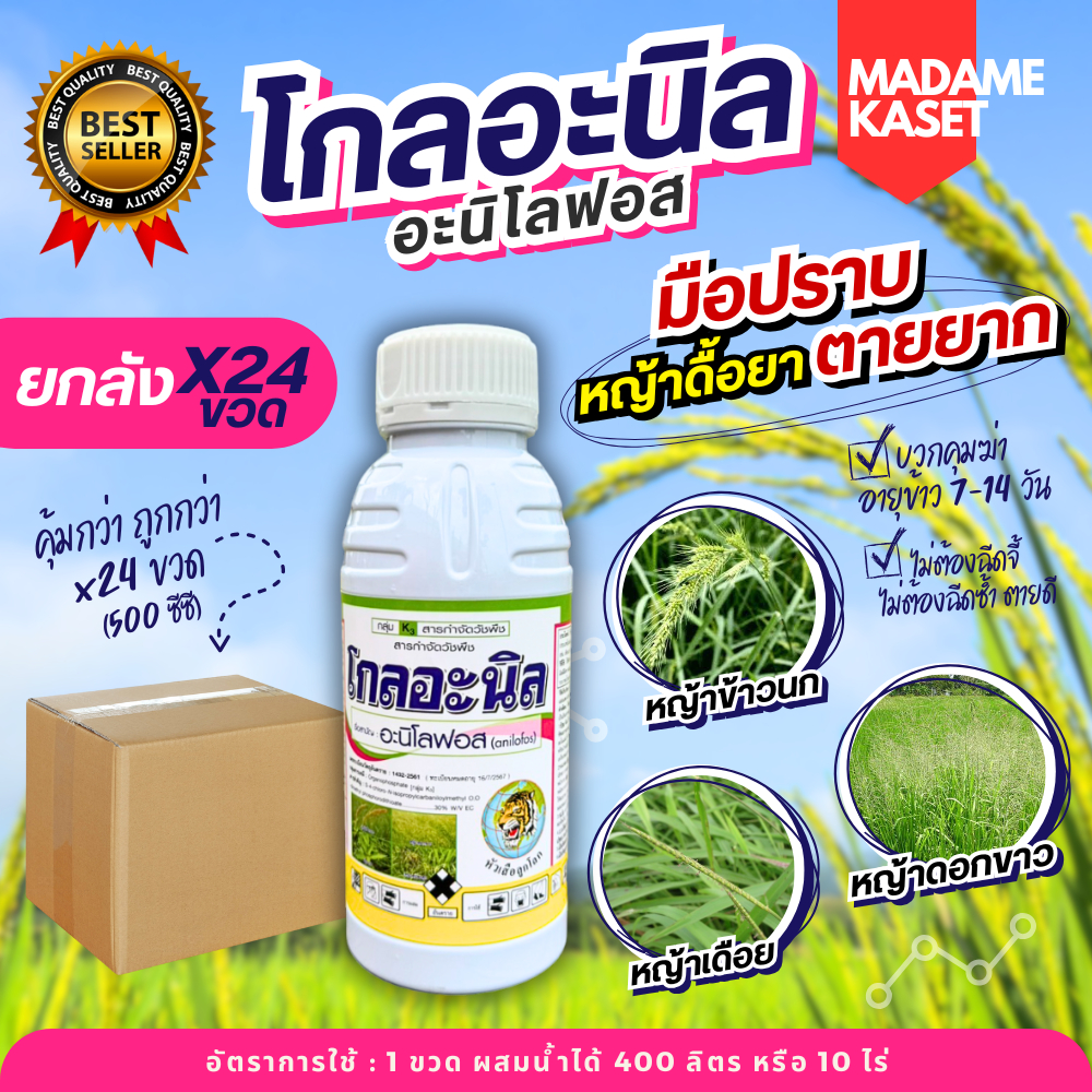ยกลัง x24 ขวด**จำกัดออเดอร์ละ1ลัง** | โกลอะนิล (อะนิโลฟอส) แก้ปัญหาหญ้าดื้อยาทุกชนิด 500 ซีซี