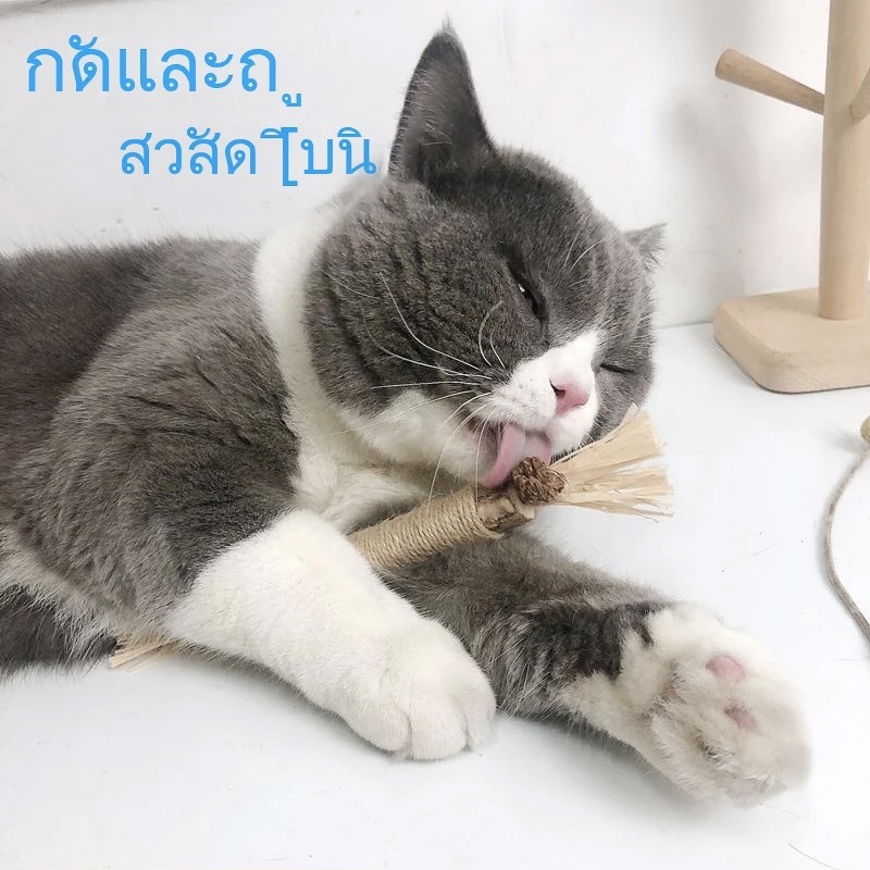 😻แท่งกัดฟัน แคทนิปแท่งกัดฟัน ของเล่นแมว ขัดฟันไม้ ช่วยทำความสะอาดฟัน ลดหินปูน - รูปที่ 5