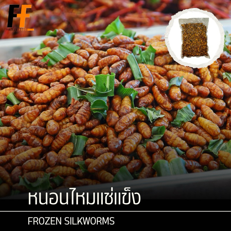 หนอนไหมแช่แข็ง 1 กิโลกรัม | FROZEN SILKWORMS
