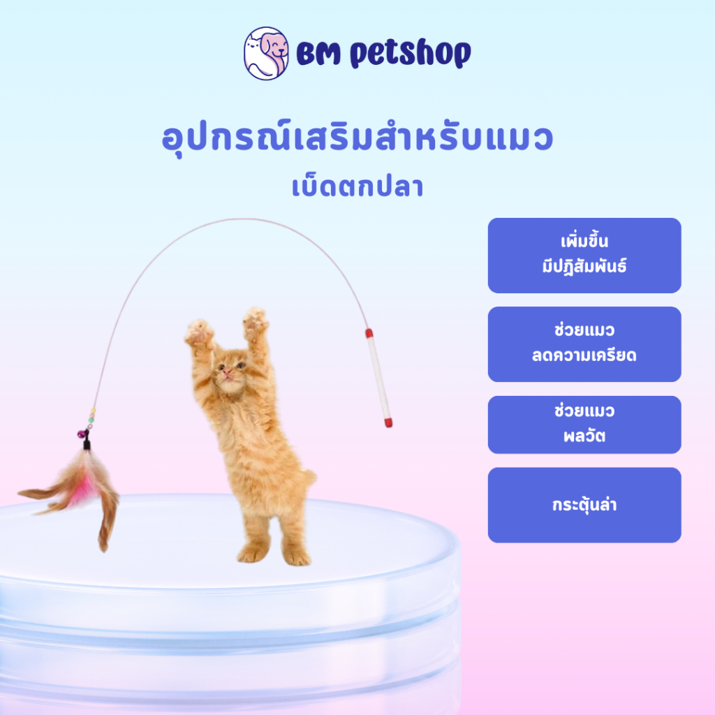 ไม้ตกแมว 90CM ของเล่นแมว แบบสปริง ล่อแมว ลวดสลิง ไม้แมวตั้งพื้นขนนก ยาวสุด