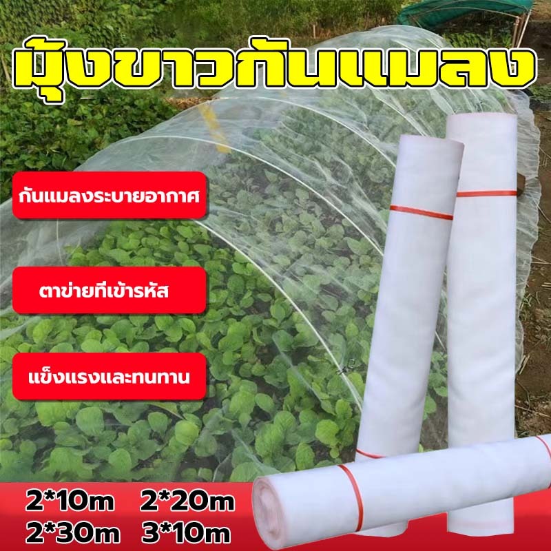 มุ้งขาวกันแมลง มุ้งขาว มุ้งขาวโรงเรือน ปรับอุณหภูมิ การเลือกใช้วัสดุที่ดีเยี่ยม 40ตาข่าย ตาข่ายกันแมลง มุ้งโรงเรือน