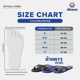 รองเท้าแตะนันยางรุ่น birdie น้ำหนักเบา ไม่ลื่น Slippers-4หู （ถ้าชอบแบบสบายให้เลือกใหญ่กว่าปกติ 1 เบอร์)
