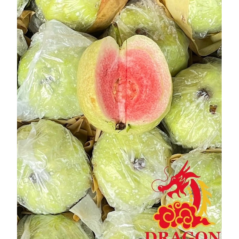 ฝรั่งไส้แดง สดๆจากสวน ฟรีผงบ๊วย ส่งทุกวัน น้ำหนักเต็มกิโล 3-5ลูกต่อโล เสียเครม