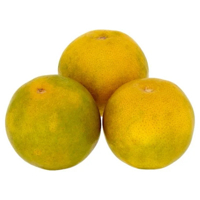 ส้มสายน้ำผึ้ง Orange อ.ฝาง เชียงใหม่ รสจัดหวานติดเปรี้ยวนิดๆ ส้มผิวอาจจะติดลายนิดหน่อย