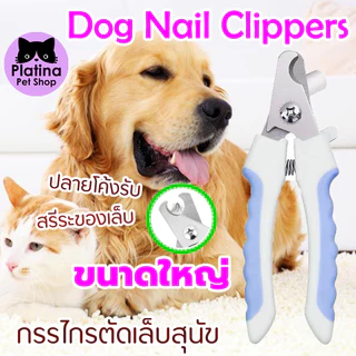 กรรไกรตัดเล็บสุนัขสแตนเลส อันใหญ่ สุนัขใหญ่ตัดได้ ไม่ก๊องแก๊ง กรรไกรตัดเล็บน้องหมาอันใหญ่