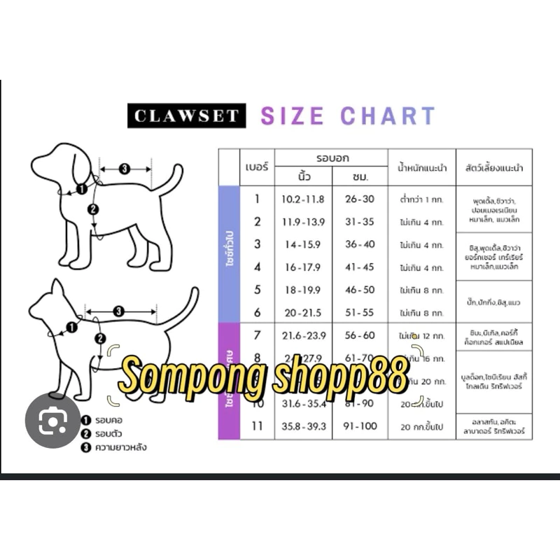(มีโค้ดส่งฟรี❗️) <ยกโหล 12ตัว  > เสื้อน้องสุนัข แมว เสื้อสำลีแขนกุด  สินค้าใหม่ ลายน่ารักแฟชั่น 🔥พร้อมส่งทุกไซด์🔥 thumbnail 10
