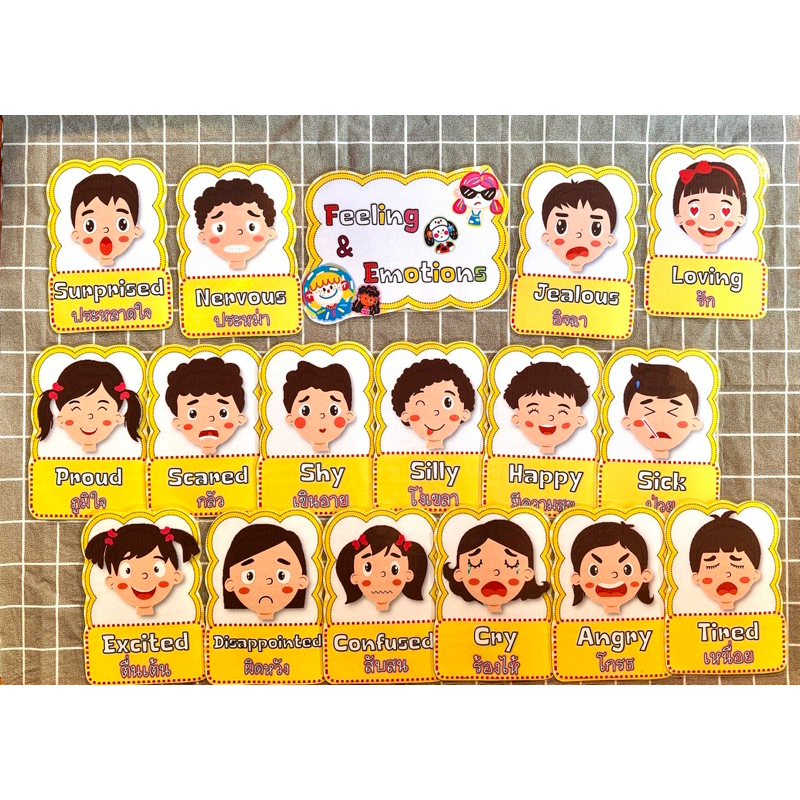 สื่อการสอน บัตรคำศัพท์ Feelings and Emotions