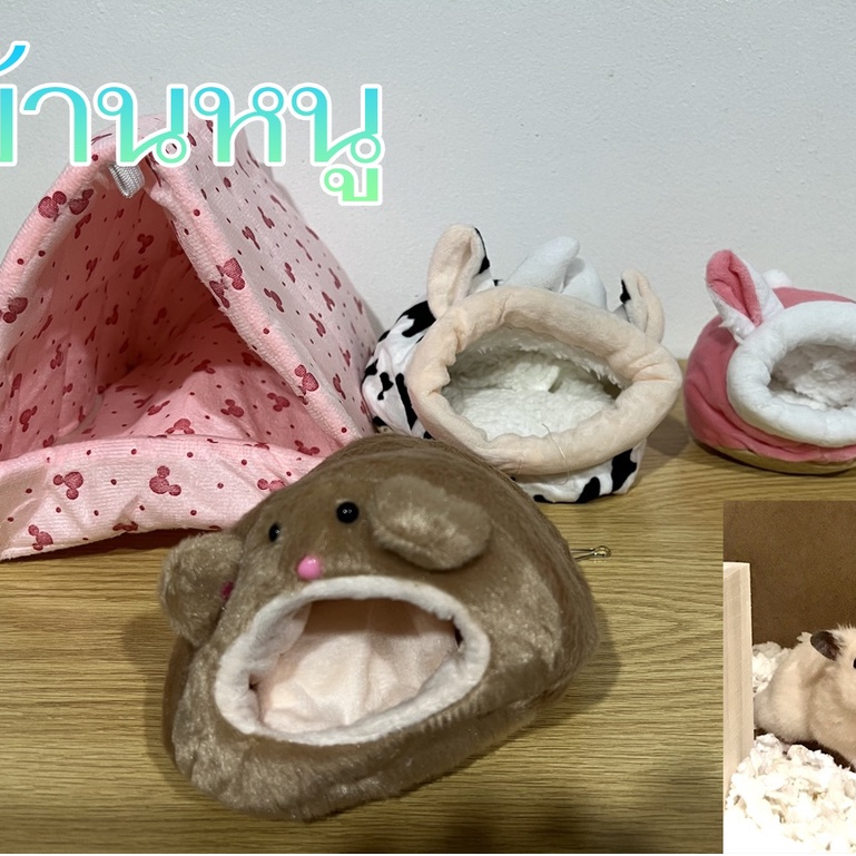 บ้านหนูแฮมสเตอร์ ที่นอนแฮมสเตอร์ ที่นอนกระรอก ที่นอนเม่นแคระ ที่นอนชูการ์ไรเดอร์ ที่นอนบุชเบบี้