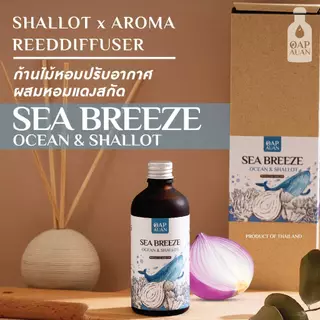 ก้านไม้หอม + หอมแดงสกัด (กลิ่นโอเชี่ยน)🍃น้ำหอมปรับอากาศ🍃 Reed Diffuser Mix Shallot Extract