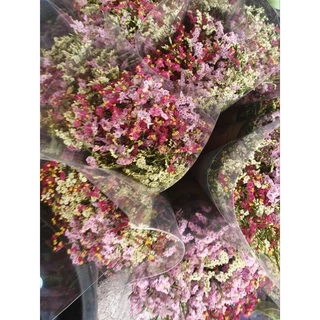 พร้อมส่ง COD ดอกสุ่ยแห้ง ดอกไม้ ดอกไม้แห้ง ดอกสุ่ยแห้ง สำหรับจัดช่อ ตกแต่งบ้าน คาเฟ่ งานฝีมือ มินิมอล วินเทจ ของชำร่วย