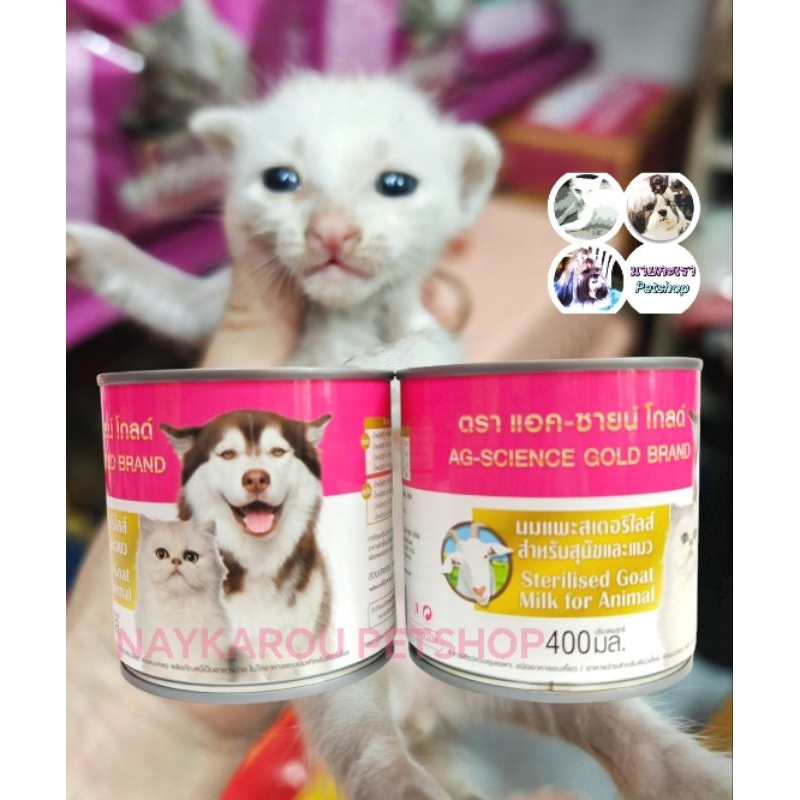 แอค-ซายน์ โกลด์ นมแพะสเตอริไลซ์สำหรับสุนัขและแมว 400มล.