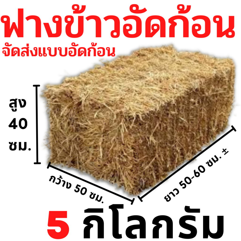 ฟาง ฟางข้าว ฟางข้าวอัดก้อน 5 กิโลกรัม ส่งจากนครปฐม ราคาสวน สวนมาเอง ไม่ชื้น ไม่เก่า ไม่ขึ้นรา