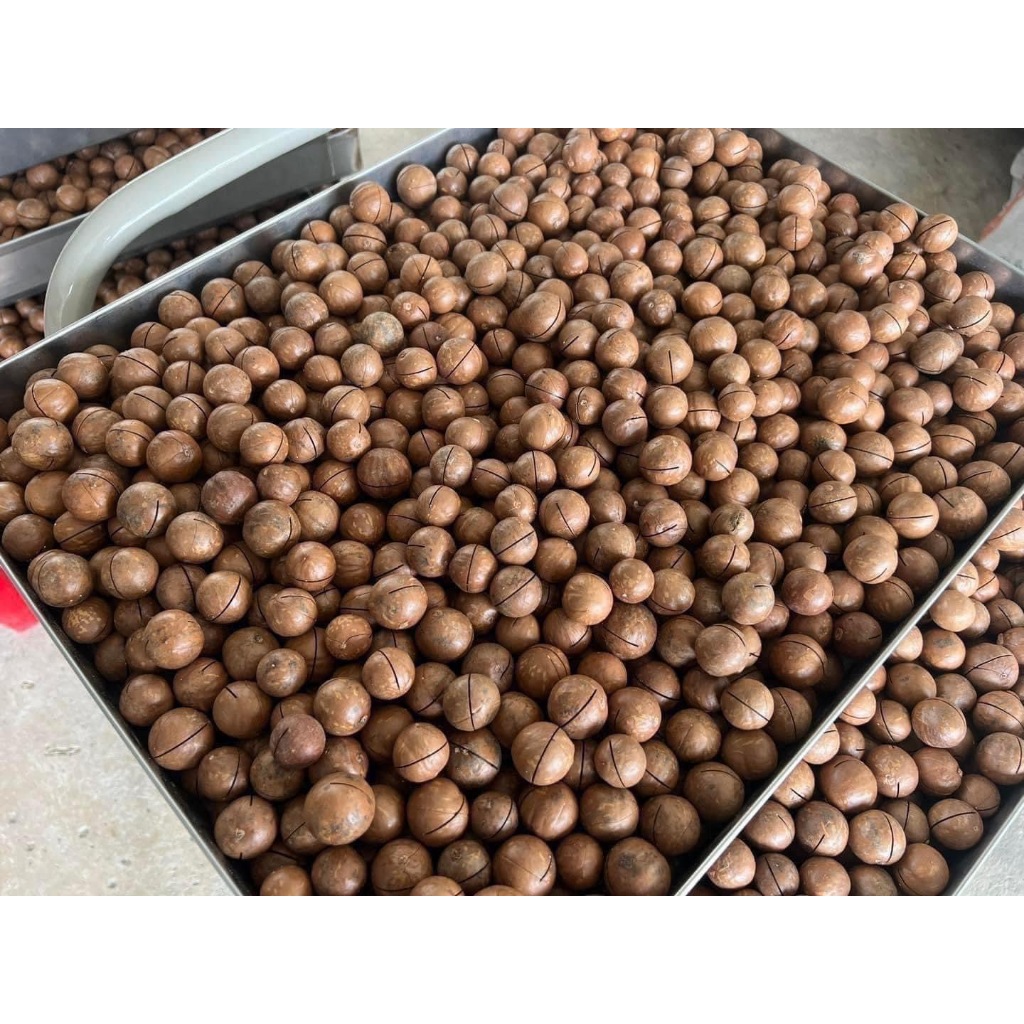 kondee แมคคาเดเมียอบเนย กรอบ หอม มัน ขายส่ง ยกลัง 9.5 - 10 กิโล