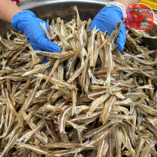 🐟🐟ปลาไส้ตันใหญ่🐟🐟 ‼ครึ่งกิโล‼ ตากแห้ง สดใหม่ อร่อย ปลาตากแห้ง สุดคุ้ม