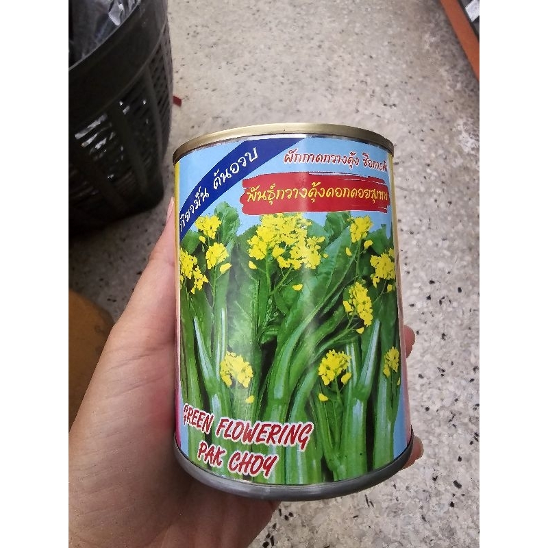 เมล็ดผักกาด กวางตุ้ง ผักกวางตุ้ง กวางตุ้งดอกดอยสุเทพ เขียวมัน ต้นอวบ ขนาด 80 กรัม ตราต้นไผ่