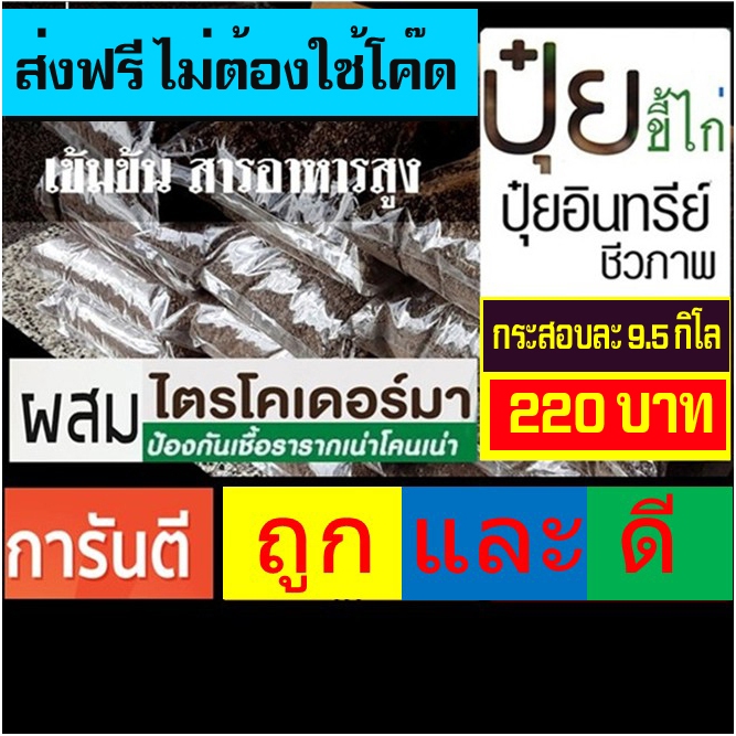 ปุ๋ยอินทรี ปุ๋ยขี้ไก่ล้วน เกรด AAA คุณภาพสูงผสมไตรโคเดอร์มา กระสอบละ 9.5 กิโล ส่งฟรี ไม่ต้องบวกเพิ่ม