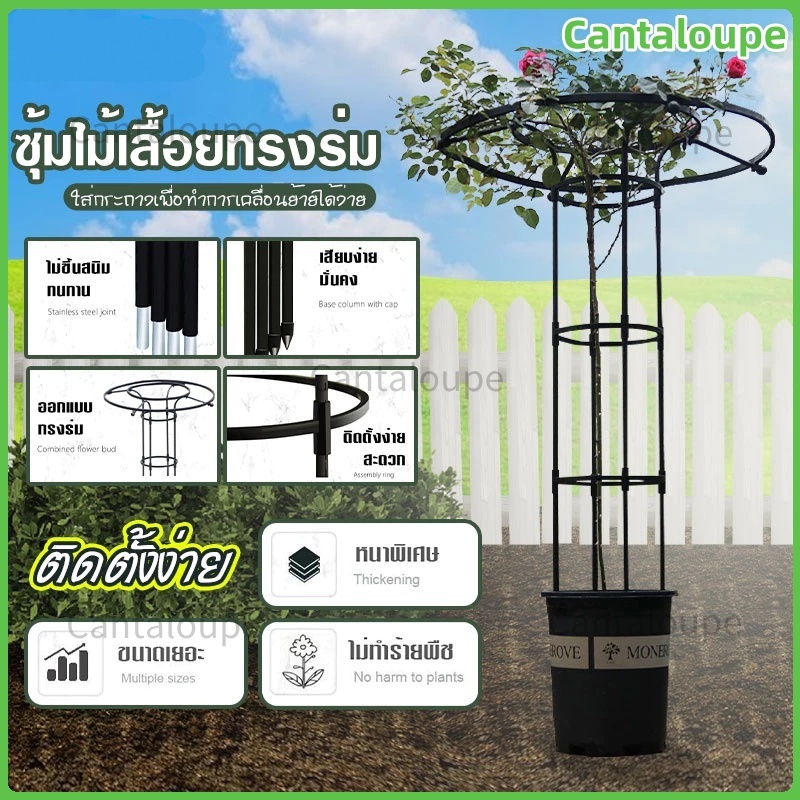 [ชั้นวางดอกไม้ทรงร่ม] กันสนิม+กันแดด! ประหยัดพื้นที่ สวยงามสำหรับสวน/คาเฟ่ ประกอบง่ายใน 5【ส่งฟรี】