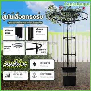 [ชั้นวางดอกไม้ทรงร่ม] กันสนิม+กันแดด! ประหยัดพื้นที่ สวยงามส…