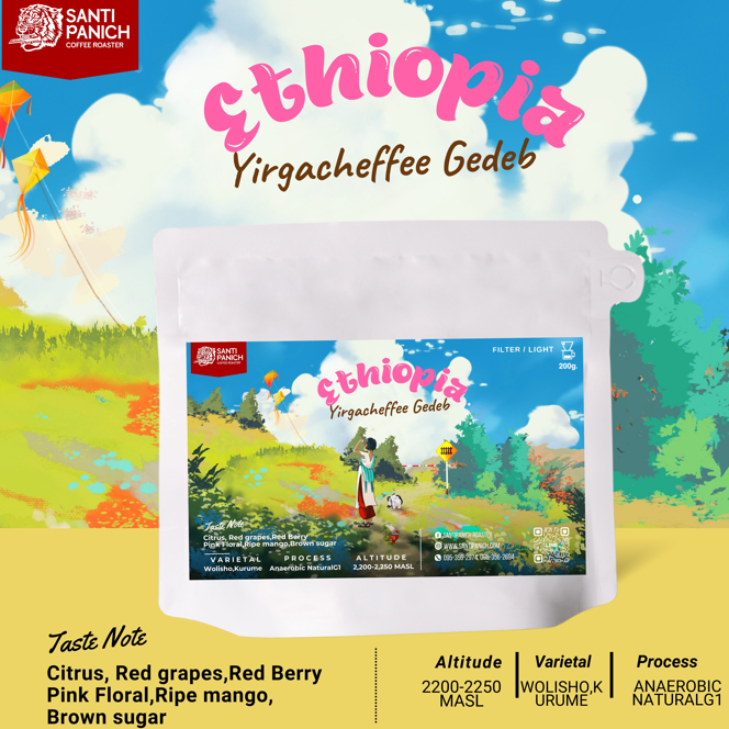 เมล็ดกาแฟคั่วอ่อน ฟิลเตอร์ Ethiopia Yirgacheffee Gedeb Anaerobic NaturalG1
