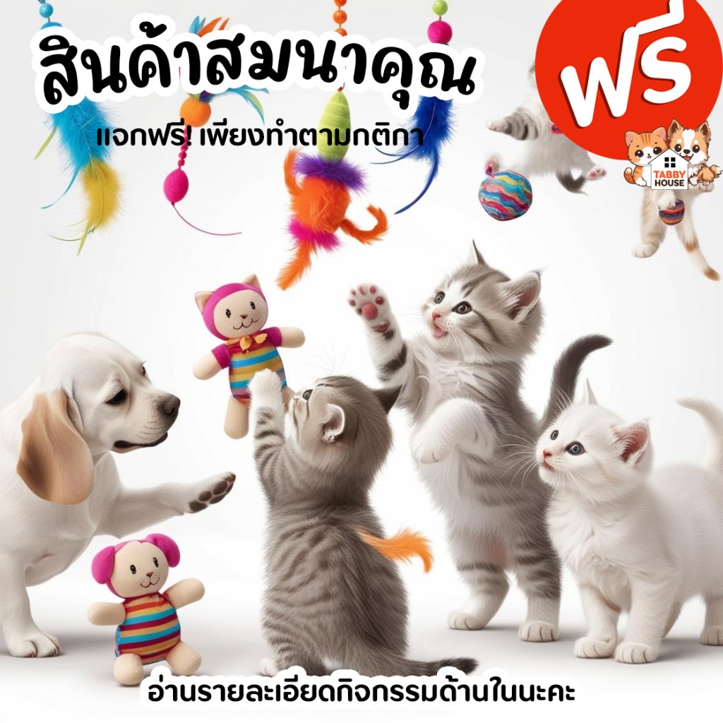 (นี่คือของแถม) ที่ใครเห็นก็ต้องกรี๊ด ฟรีทันที!! เมื่อซื้อสินค้าตามเงื่อนไข อ่านเงื่อนไงในรายละเอียด