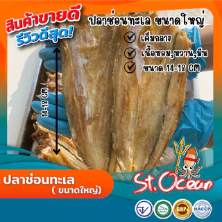 ปลาแห้ง ปลาช่อนทะลแห้ง คุณภาพส่งออก มาตรฐาน อ.ย. Halal GMP HACCP