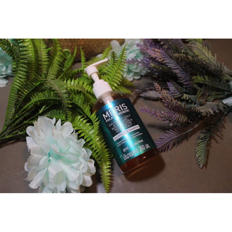 MERIS เมอริสแชมพูสมุนไพรสารสกัดรวมผสมไพลรวม-ผมมันง่าย-รังแค-ปราศจากซัลเฟต-Mammaherb-แชมพูมะมาเฮิร์บ exp27 - รูปที่ 2