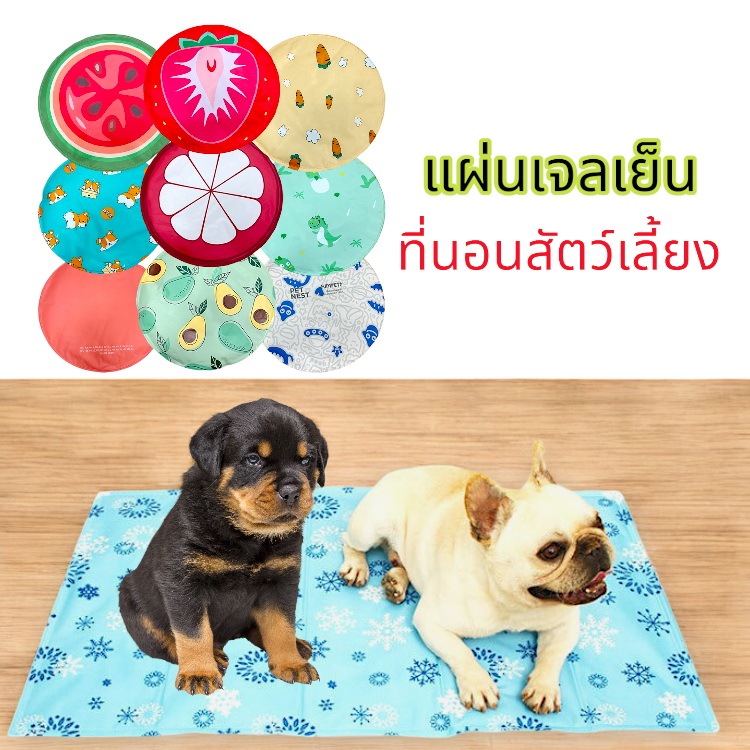 Deemar แผ่นเจลเย็น เบาะนอนเย็น ที่นอนเจลเย็น แผ่นทำความเย็น ที่นอนสัตว์เลี้ยง หมา แมว Cooling Pad  NJY