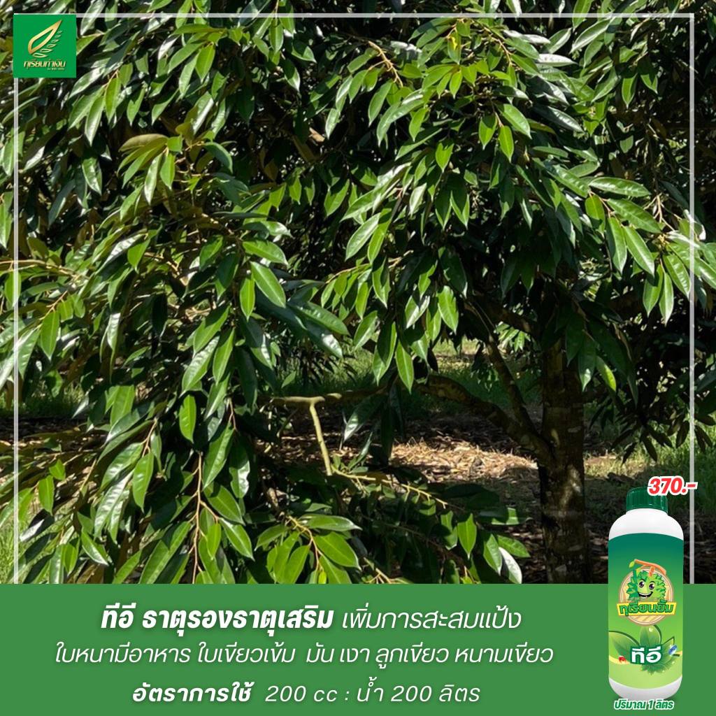 ทีอี ธาตุรอง ธาตุเสริม Te Chelate คีเลตจากธรรมชาติ สะสมอาหารได้ดี เพิ่มการสะสมแป้ง ช่วยทำให้ใบใหญ่ หนา ดำ มัน เงา