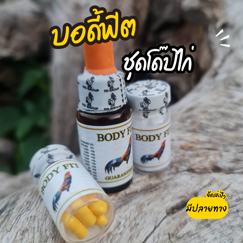 บอดี้ฟิต อาหารไก่ชน Body fit 1 ชุด มี 3 ขวด อาหารไก่และนก สำหรับสัตว์ปีก