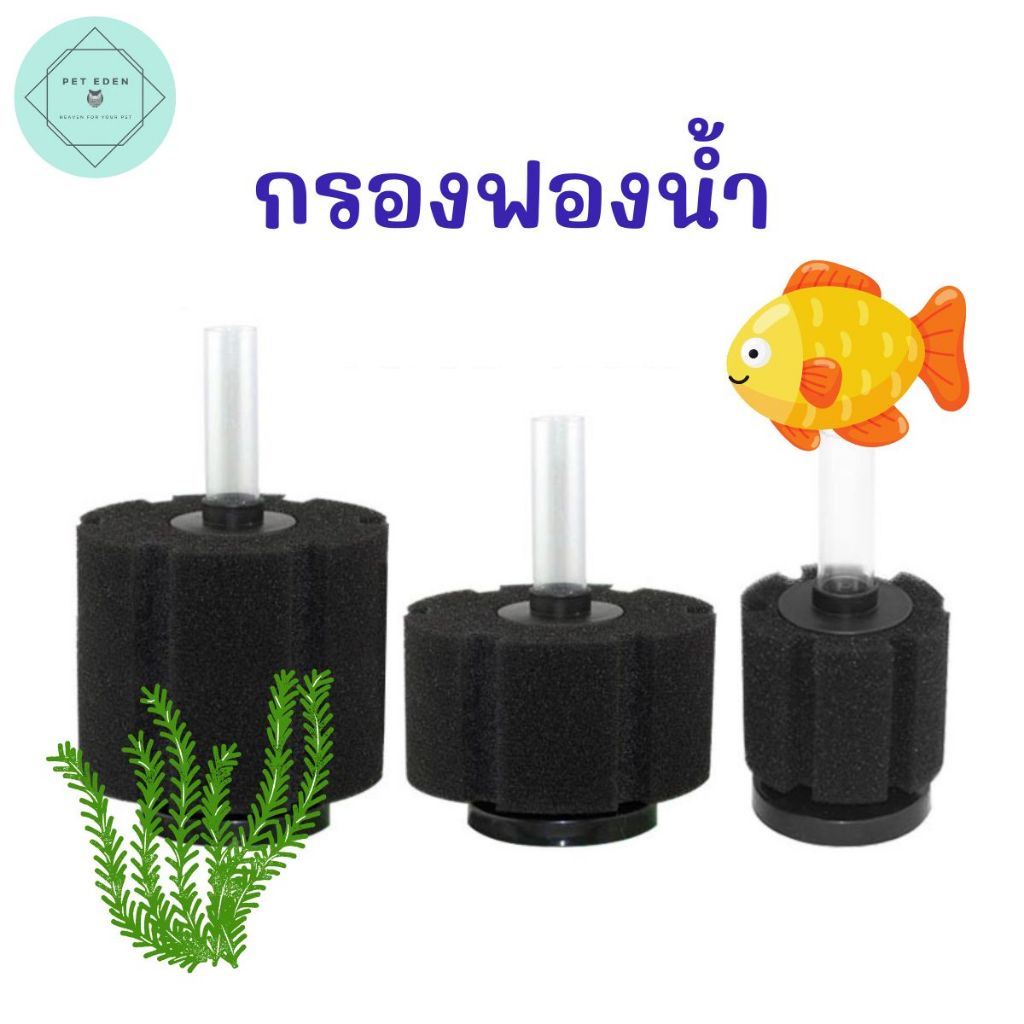 กรองฟองน้ำ อ่างปลา สัตว์น้ำ Fish ทำความสะอาดตู้ปลา