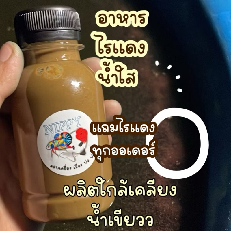 แถมไรแดง พร้อมเลี้ยง Handy อาหารไรแดงน้ำใส แฮนดี้