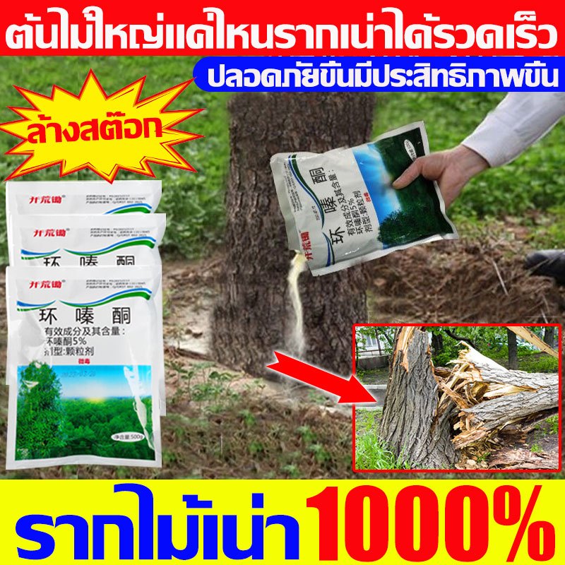 โรยเล็กน้อยก็ตาย ยาฆ่าต้นไม้ใหญ่ 500g กำจัดต้นไม้และไม้ไผ่ให้หมดสิ้นหญ้า ยาฆ่าตอไม้ ยาฆ่ากอไผ่ ยาฆ่าไผ่ ยาฆ่าหญ้า