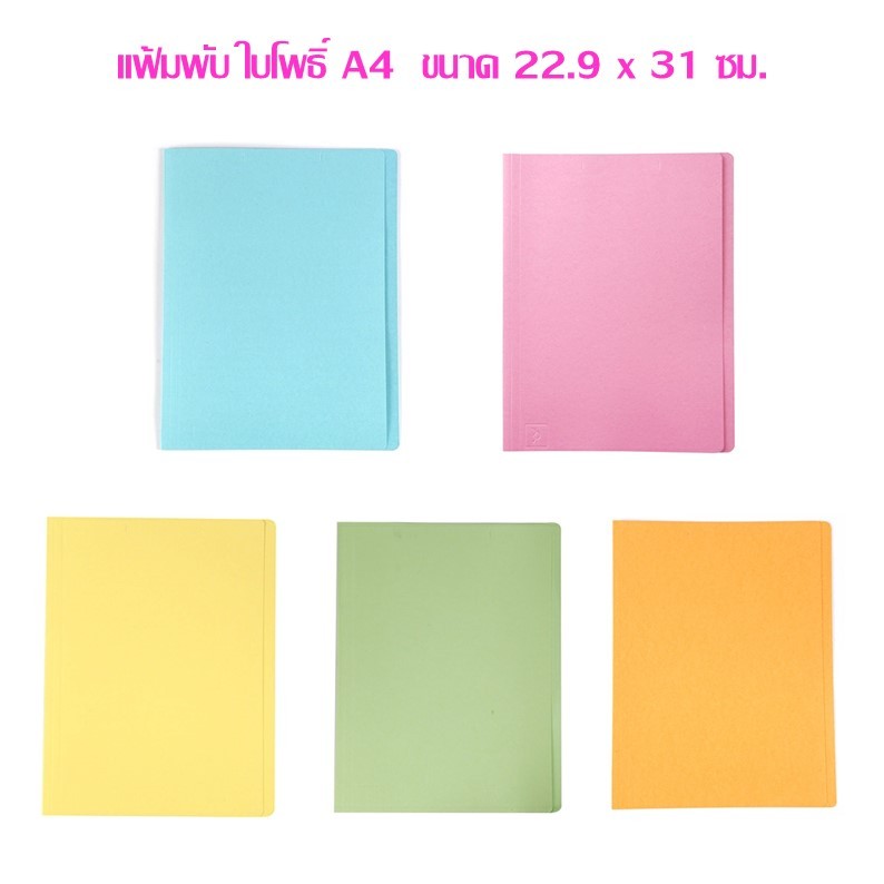 แฟ้มพับ ใบโพธิ์ A4 ขนาด 22.9 x 31 ซม.หนา 300 แกรม (ราคาแพ็ค 10 แฟ้ม)