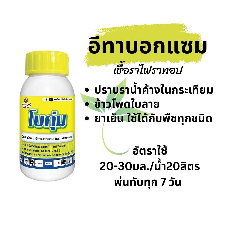 โบคุ่ม Ethaboxam 10.4% W/V S/C (500 มล.) ป้องกันและกำจัดเชื้อราในพืช ตระกูลแตงฝนตกเยอะ - Flowers