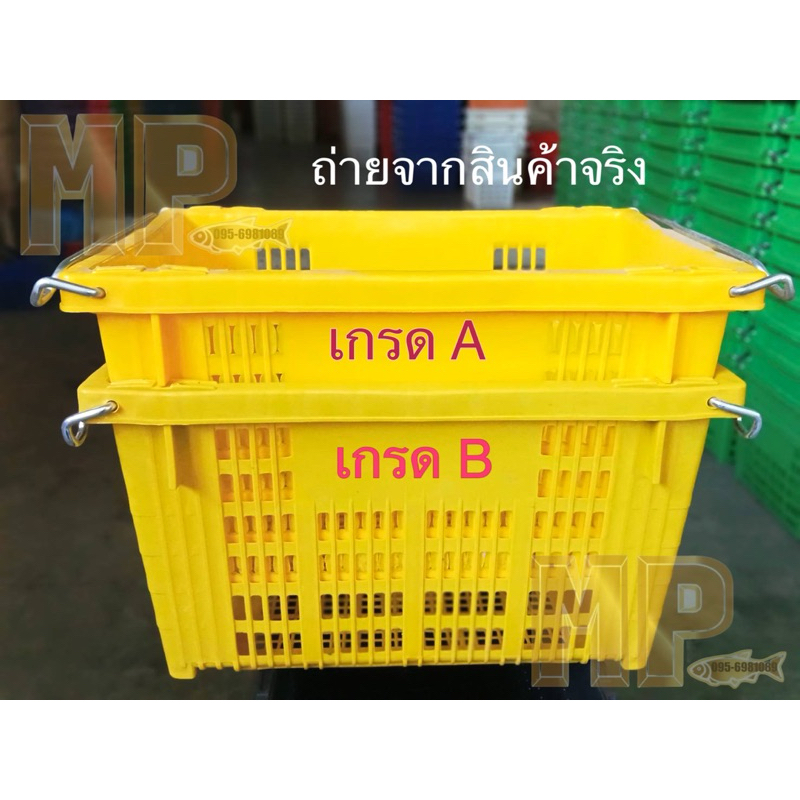 💛ลังพลาสติกหูเหล็ก ตะกร้าพลาสติก ตะกร้าหูเหล็ก ใส่ผลไม้ สีเหลือง เกรดมาตรฐานอุตสาหกรรม ส่งตรงจากโรงงานผลิต
