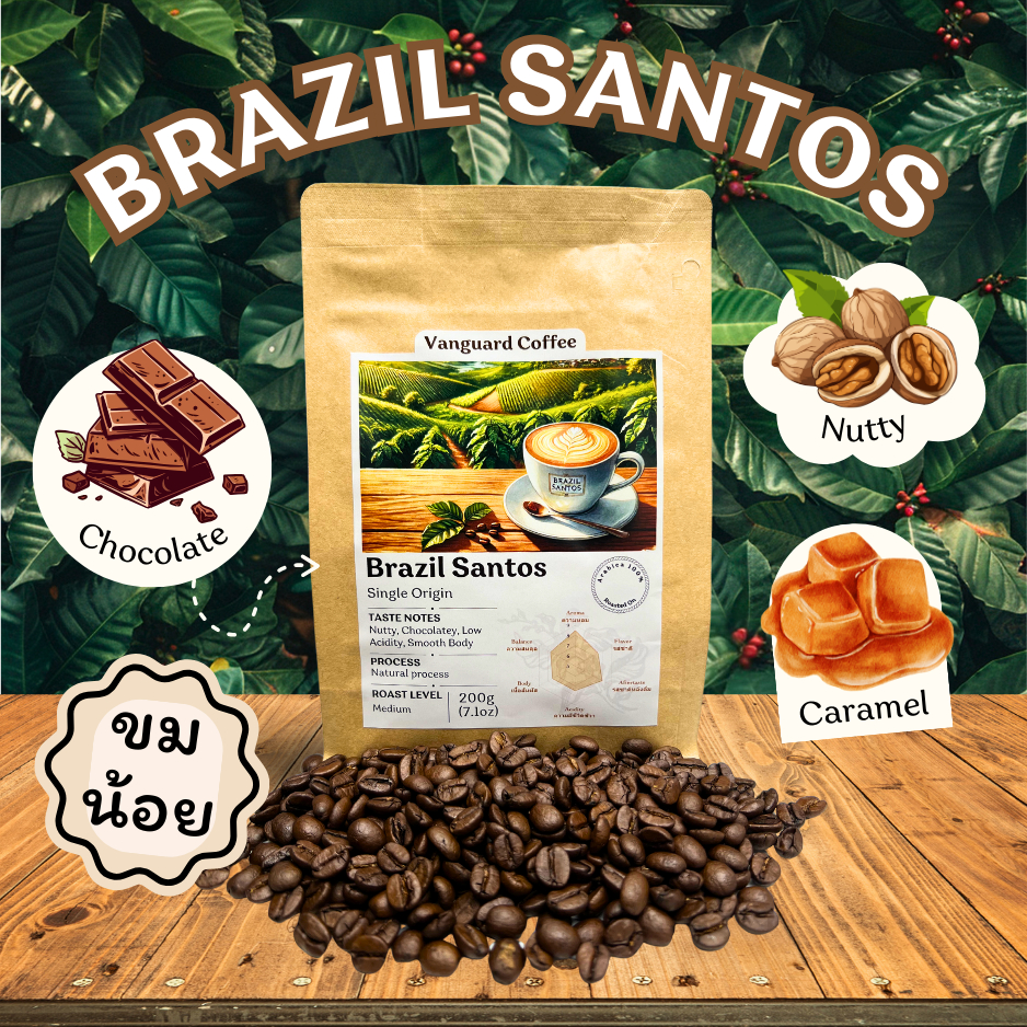 กาแฟ Brazil Santos คั่วกลาง(ขมน้อย) โทนช็อกโกแลต ถั่ว คาราเมล - เครื่องคั่วระบบลมร้อน