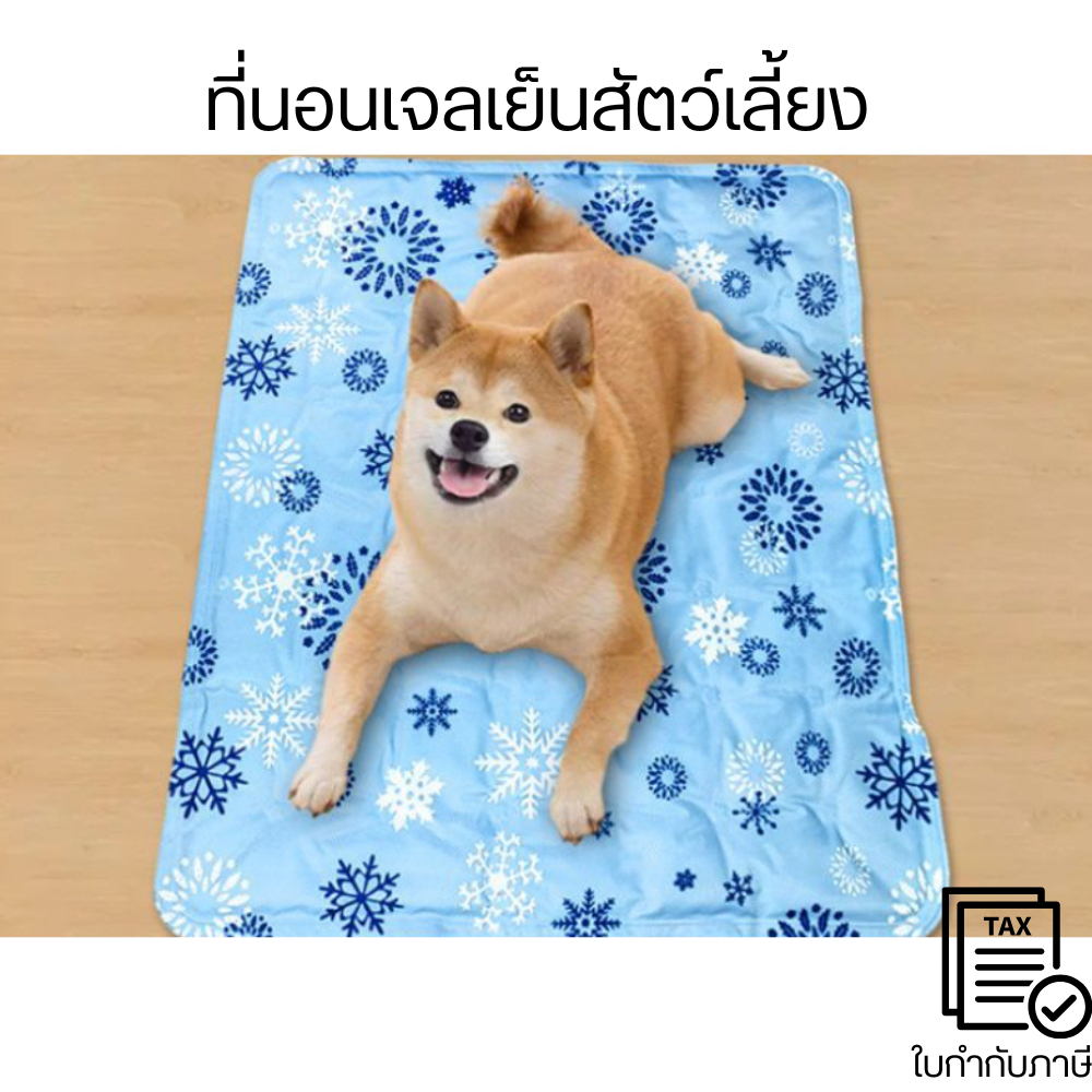 ที่นอนเจลเย็นสัตว์เลี้ยง แผ่นเจลเย็น ที่นอนเย็น เบาะเย็นแมว แผ่นทำความเย็น ที่นอนเจลเย็นสำหรับสัตว์เลี้ยง