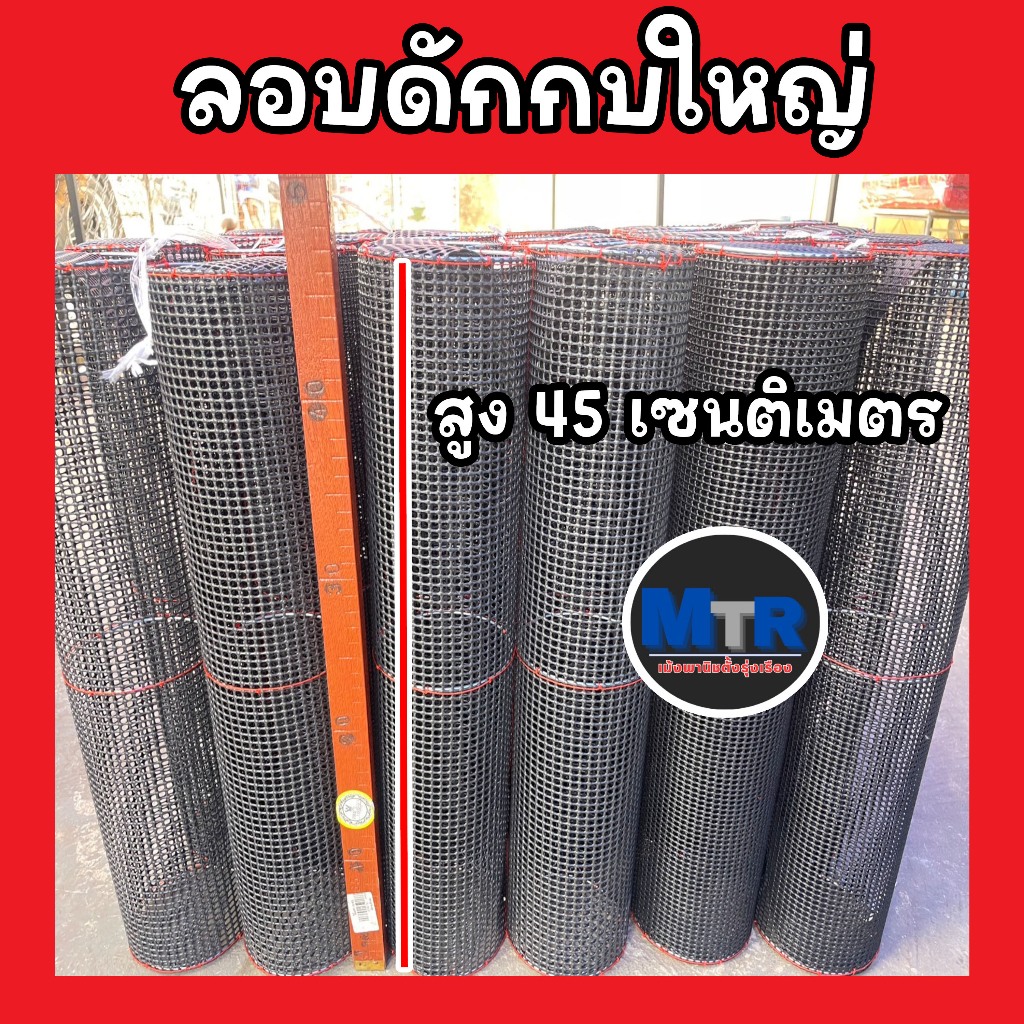 ลอบดักกบ สูง 45 เซนติเมตร จำหน่ายแบ่งชิ้นหรือมัด 5 อันหรือมากกว่า