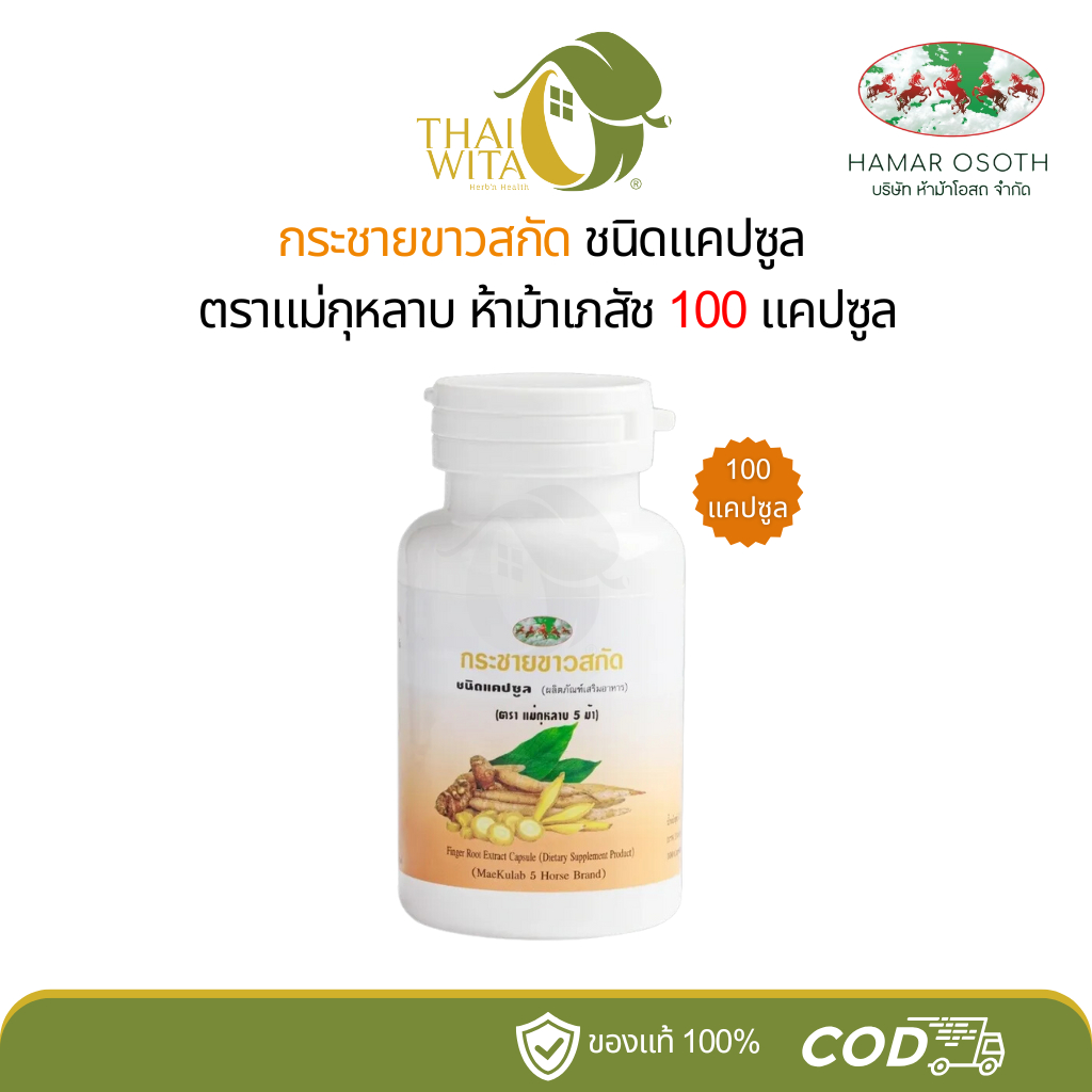กระชายขาวสกัดแคปซูล ตราแม่กุหลาบ ห้าม้าโอสถ 100 แคปซูล