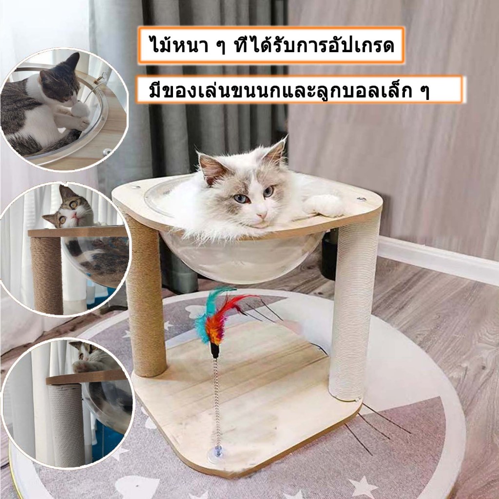 COD คอนโดแมว ไม้ หลุม อวกาศ แมว ที่นอนแมว ใส หลุมเเมว โดมแมว หลุมอวกาศแมว ไม้หนา ๆ ที่ได้รับการอัปเกรด