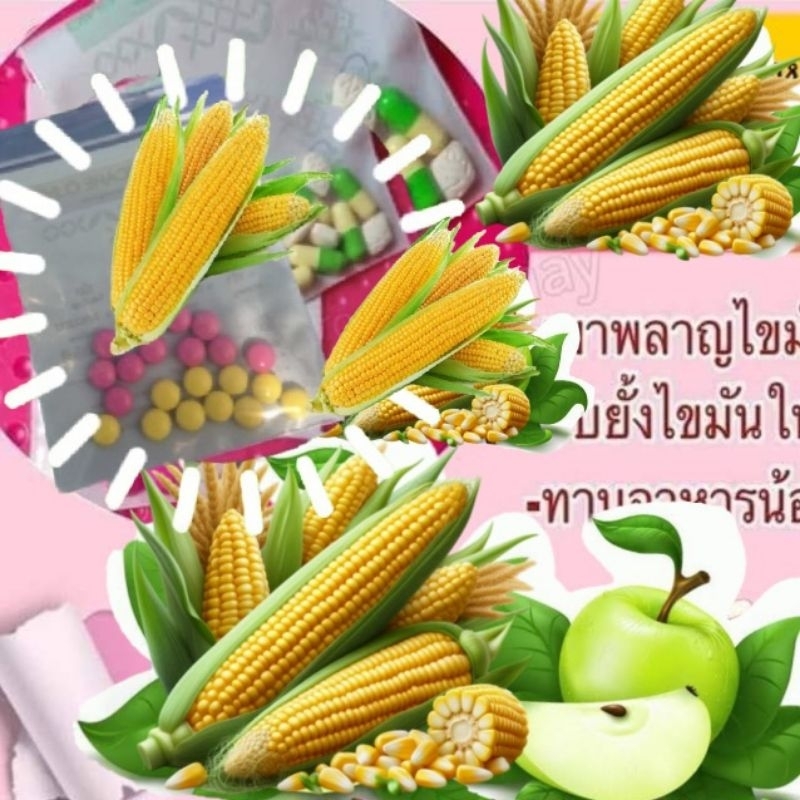 เมล็ดพันธุ์ผักส1....ดี
