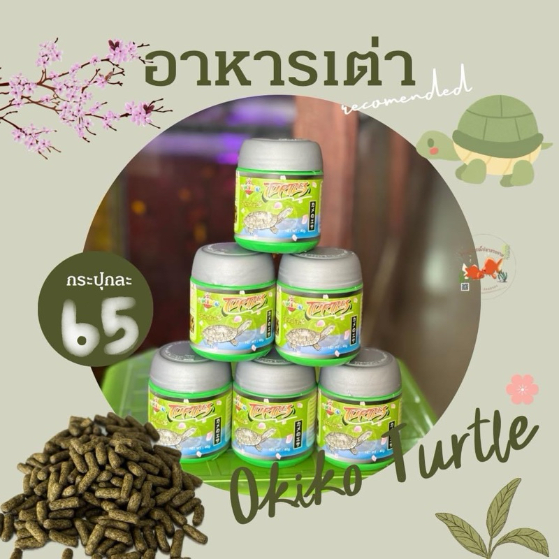 อาหารเต่าญี่ปุ่นOkiko Turtle