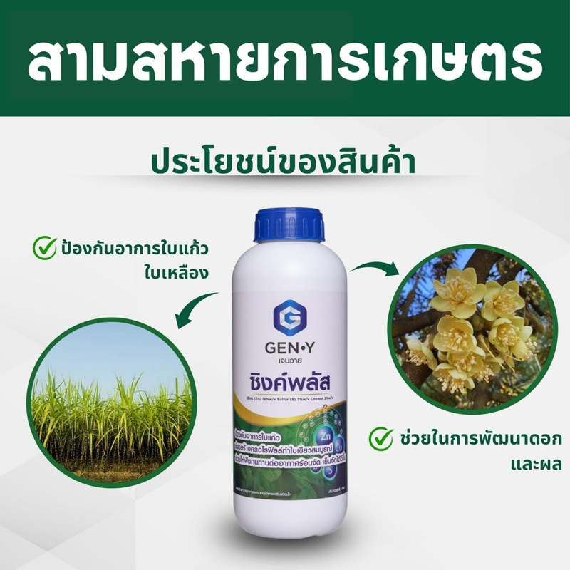ซิงค์พลัส - ธาตุสังกะสีเข้มข้น ช่วยให้พืชทนสภาพหนาวจัด ร้อนจัด แก้อาการพืชใบเหลือง โรคใบแก้ว  ขนาด1ลิตร