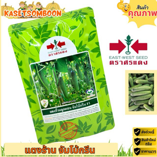 แตงร้านจัมโบ้กรีน เมล็ดพันธุ์ 100 ก. ตราศรแดง