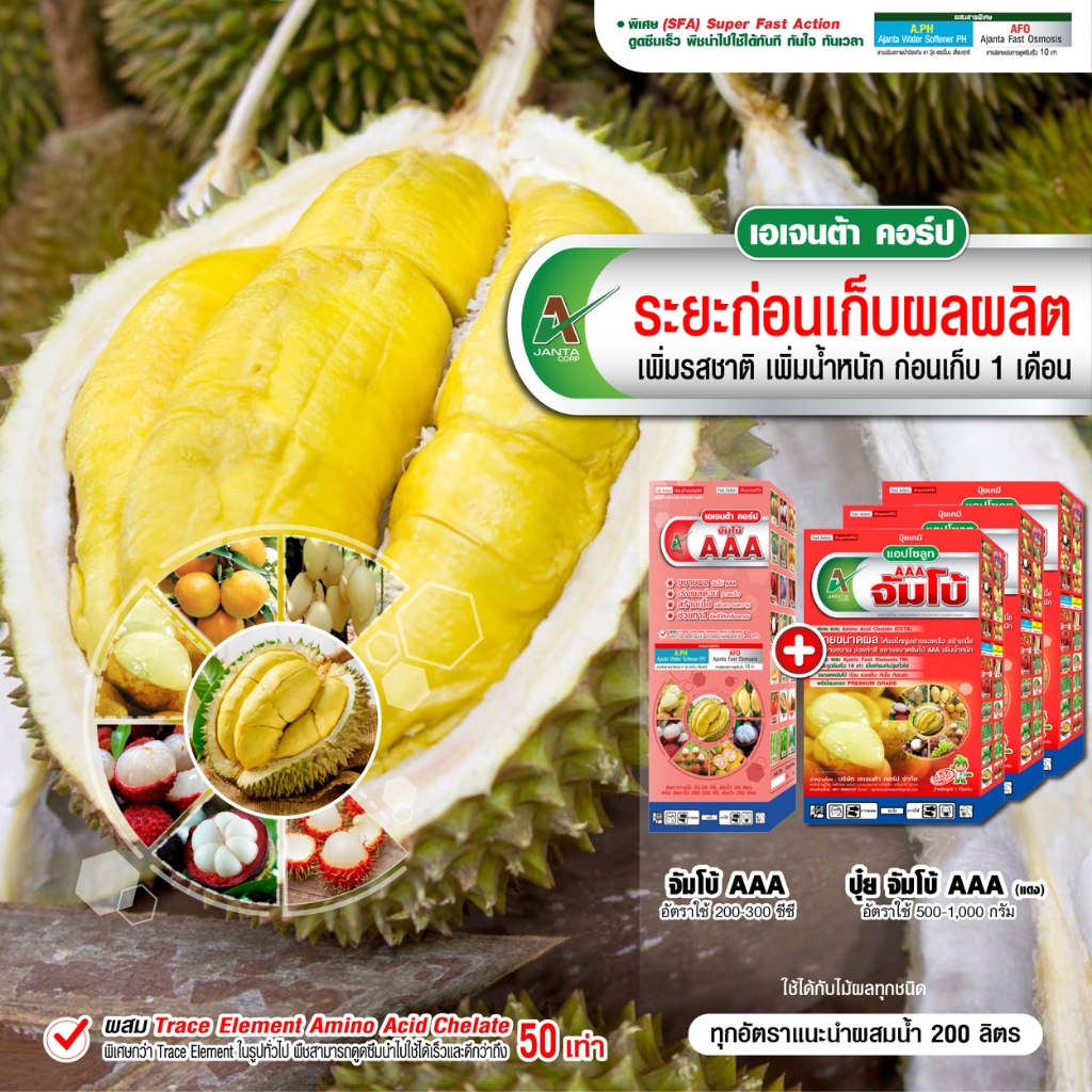 ทุเรียนขยายผลก่อนเก็บ เอเจนต้า คอร์ป ขยายผลจัมโบ้ ก่อนเก็บ 15-30 วัน เร่งขยายลูก เร่งเข้าสี พูใหญ่ (1 ลิตร + 3 กิโลกรัม)