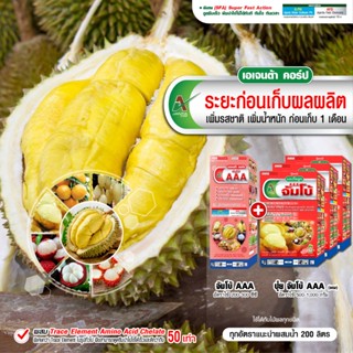 ทุเรียนขยายผลก่อนเก็บ เอเจนต้า คอร์ป ขยายผลจัมโบ้ ก่อนเก็บ 1…