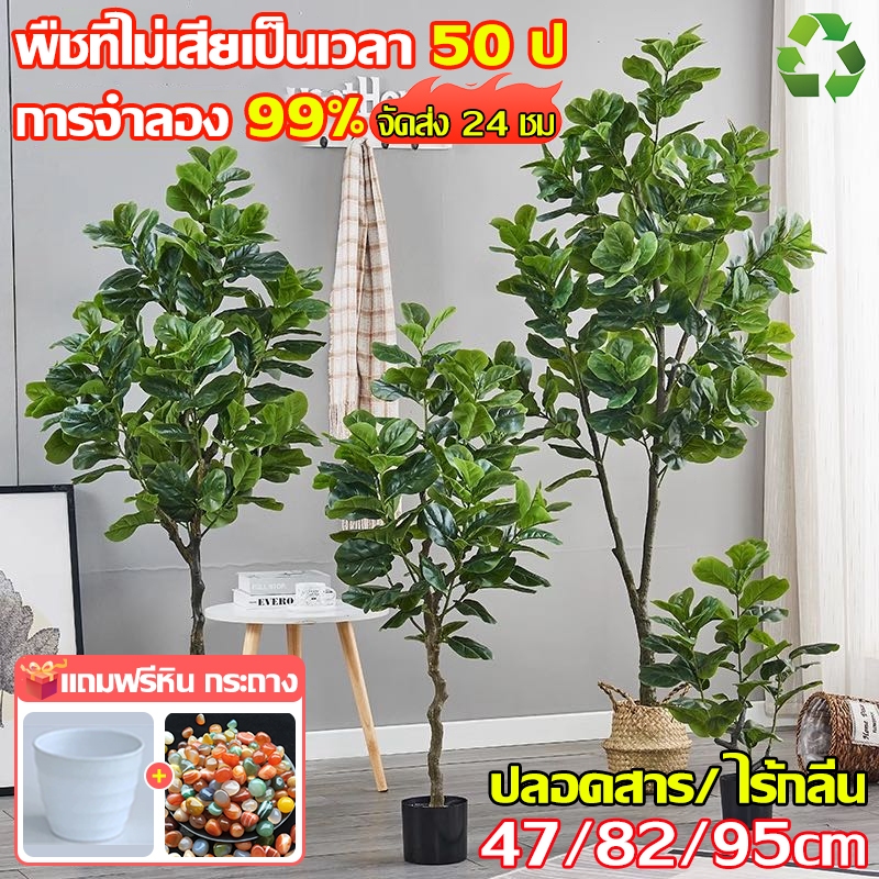 พืชที่ไม่เสียเป็นเวลา 50 ปี ต้นไม้ปลอม ต้นไม้ปลอมใหญ่ แถมฟรีหิน กระถาง ตกแต่งบ้าน ต้นไม้มงคล ความจำลอง 99% สไตล์นอร์ดิก