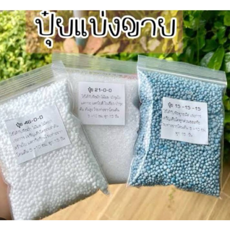 ปุ๋ย 21-0-0ปุ๋ยน้ำตาล