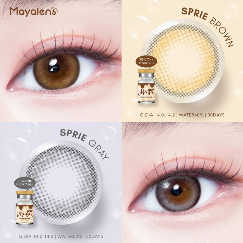 คอนแทคเลนส์ ขนาดมินิ Silicone Hydrogel ค่าอมน้ำ 60% Sprie Mayalens Premium